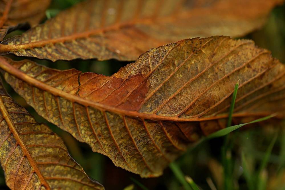 Photograph by Елена Одынец