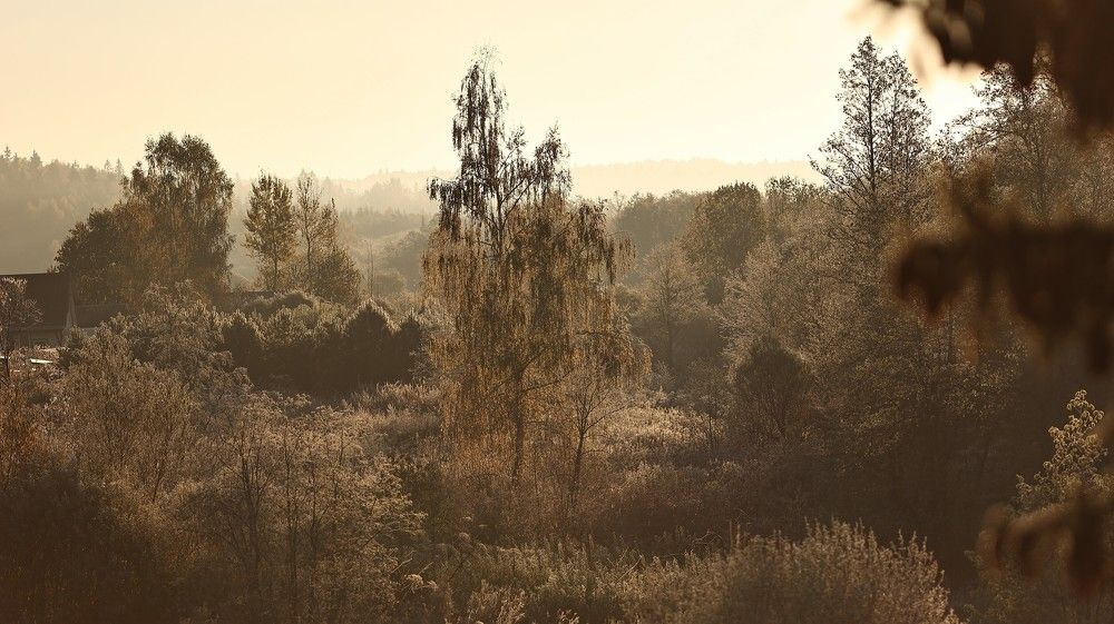 Photograph by Елена Одынец