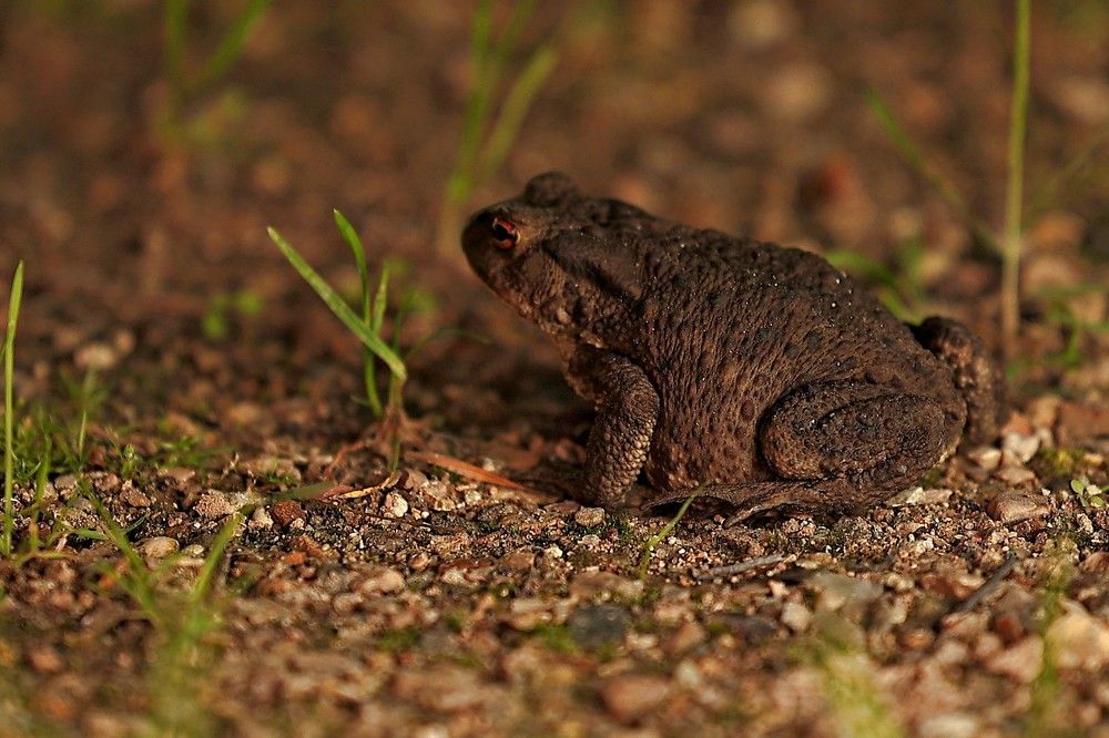 Photograph by Елена Одынец