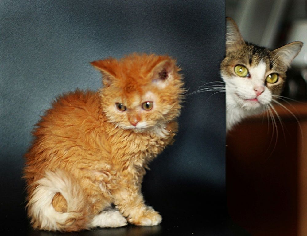 Photograph by Оксана Шарагина