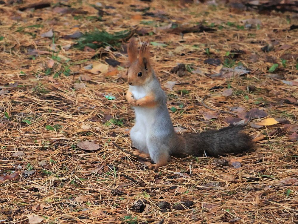 Photograph by Серёга Ануфриев