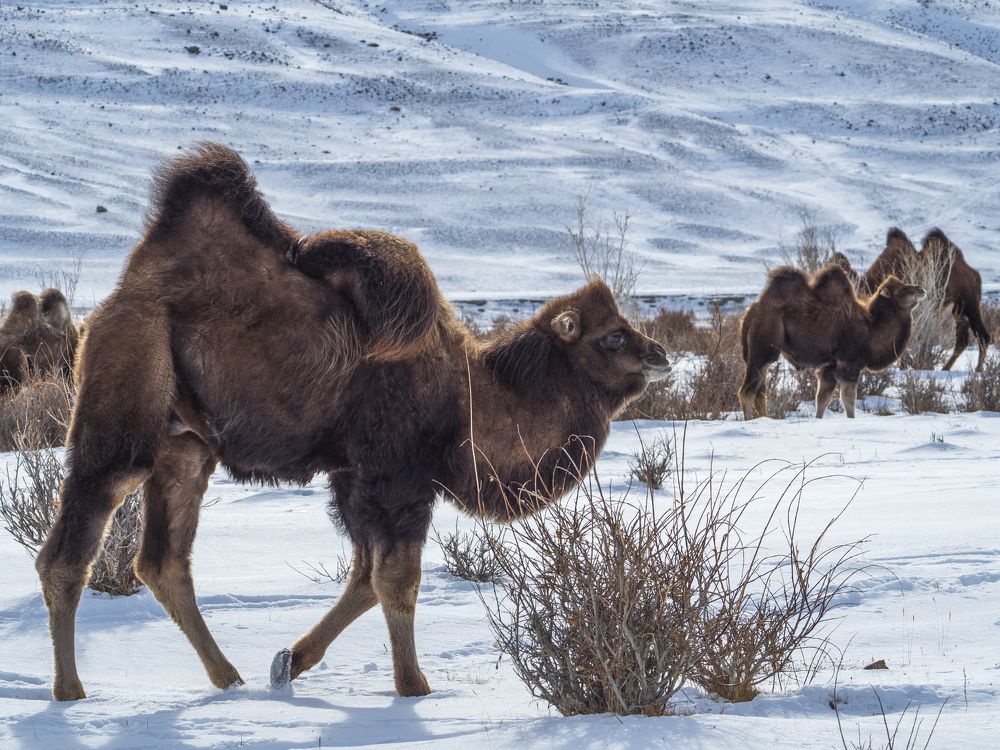 Photograph by Надежда Михайлина