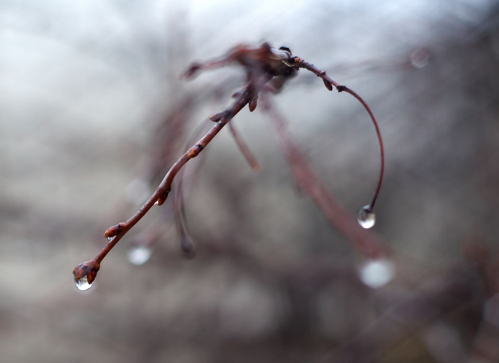 Photograph by Лофицкая Лариса