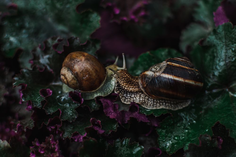 Photograph by Екатерина Абатурова