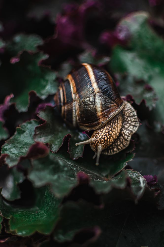 Photograph by Екатерина Абатурова