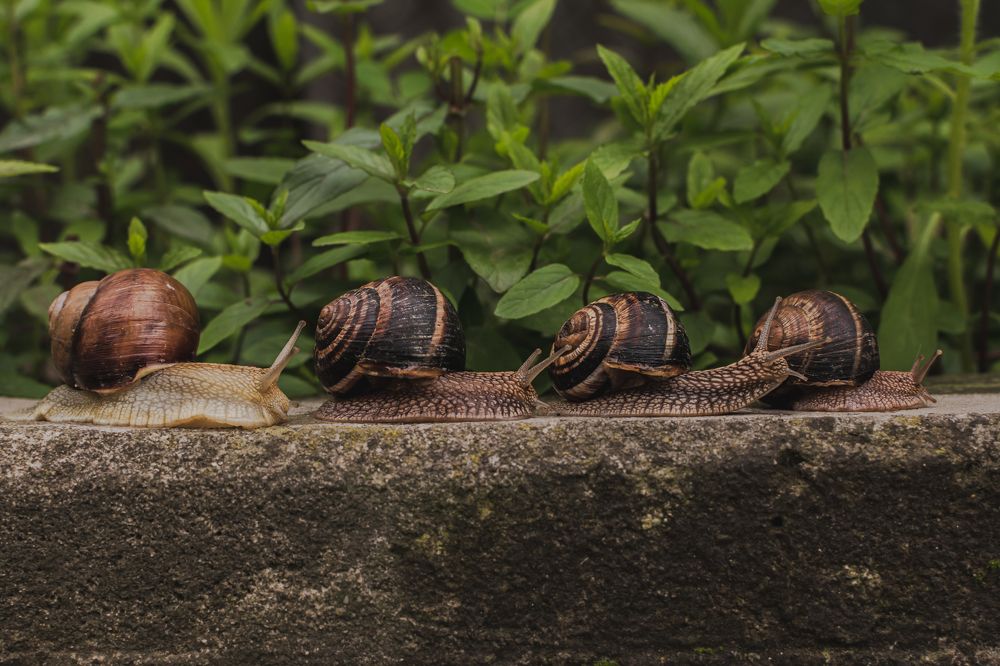 Photograph by Екатерина Абатурова