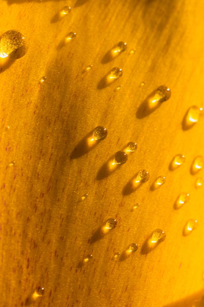 Photograph by Сергей Зайцев