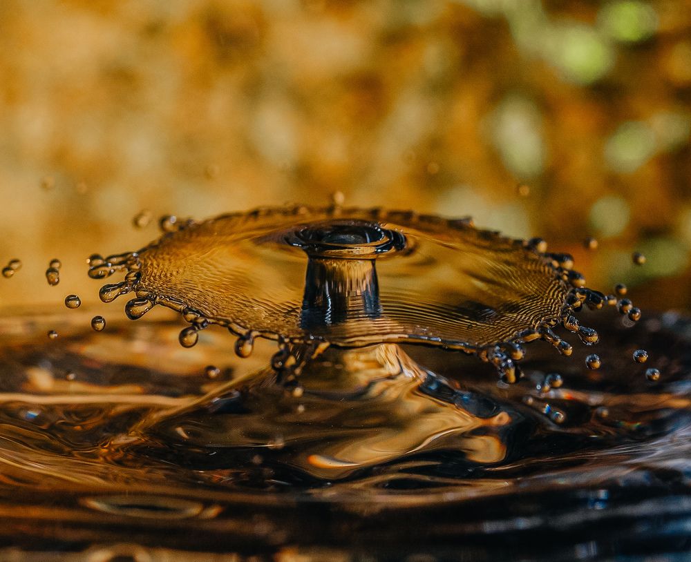 Photograph by Leanid Kulpo