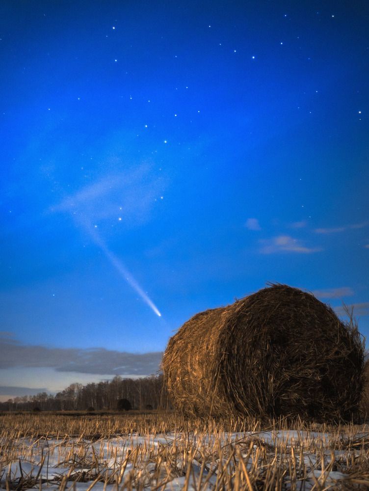 Photograph by Андрей Летов