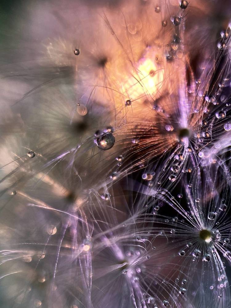 Photograph by Anastasia Astakhova