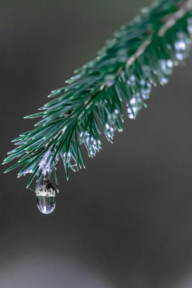 Photograph by Сергей Зайцев