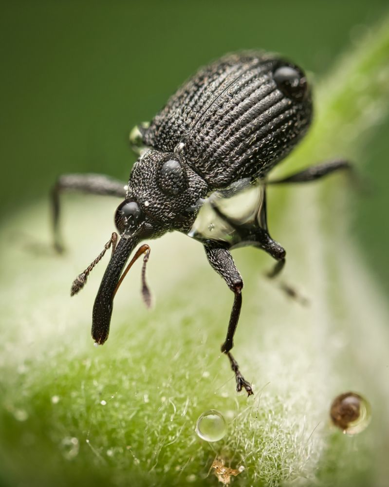 Photograph by Евгения Прокопович