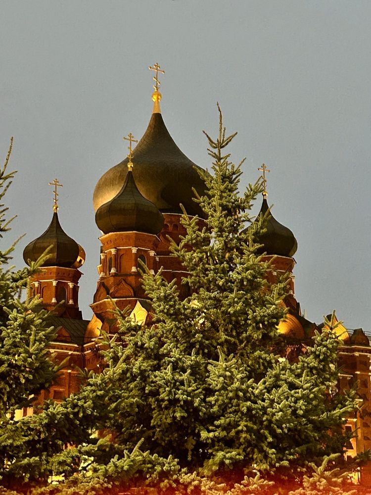 Photograph by Наталья Гусева