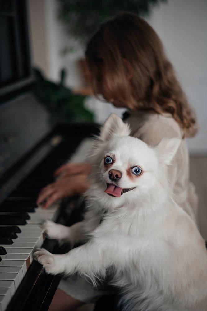 Photograph by Ольга Мисайлова