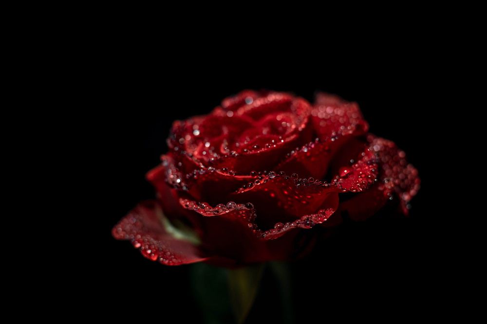 Фотография автора Константин Яковлев