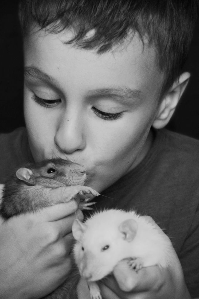 Photograph by Зоя Кулько