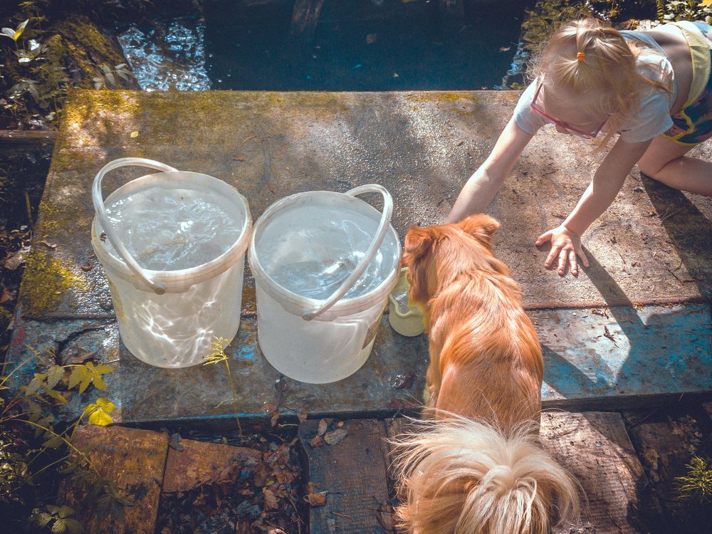 Photograph by Константин Хворостов