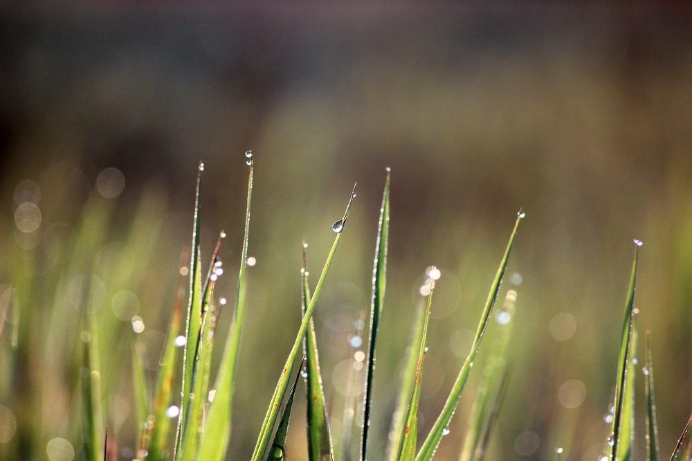 Photograph by Сергей Зятиков