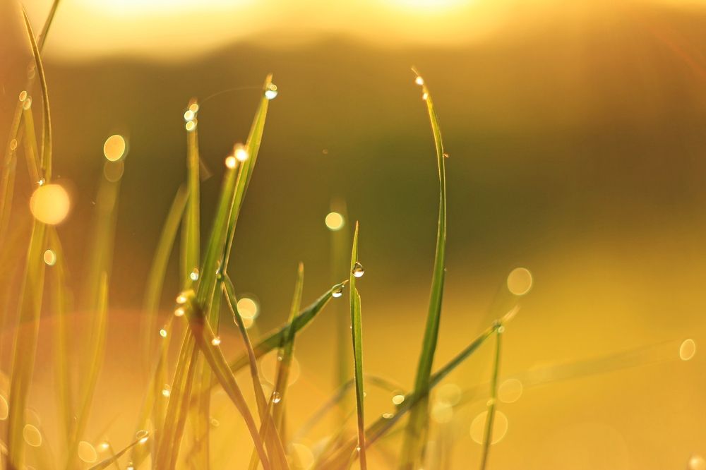 Photograph by Сергей Зятиков