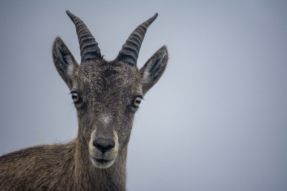 Photograph by Renee Johansson