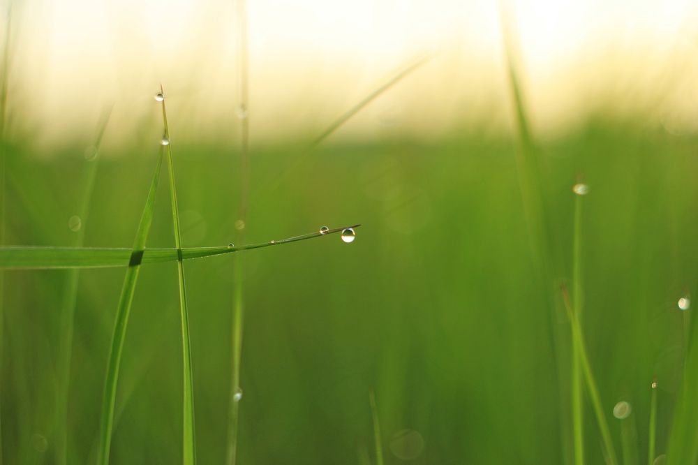 Photograph by Сергей Зятиков