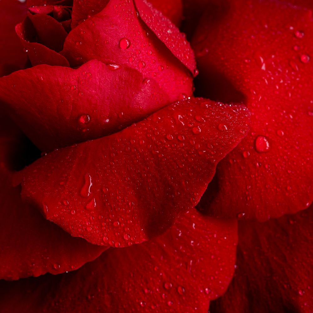 Фотография автора Анна Листишенко