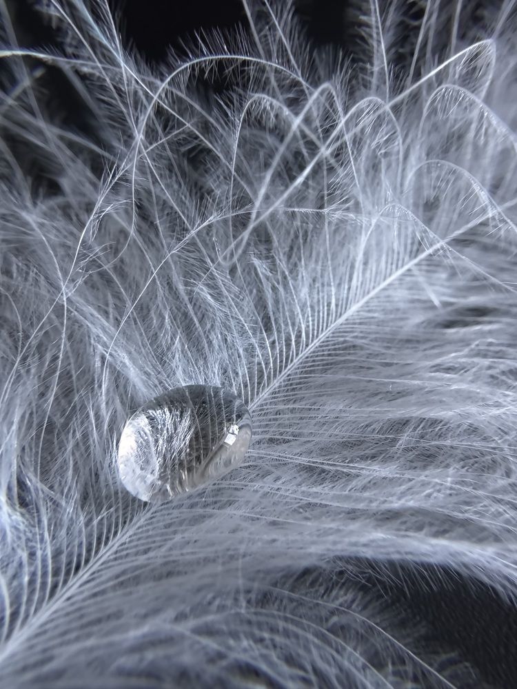 Photograph by Zhanna Kolesnikova