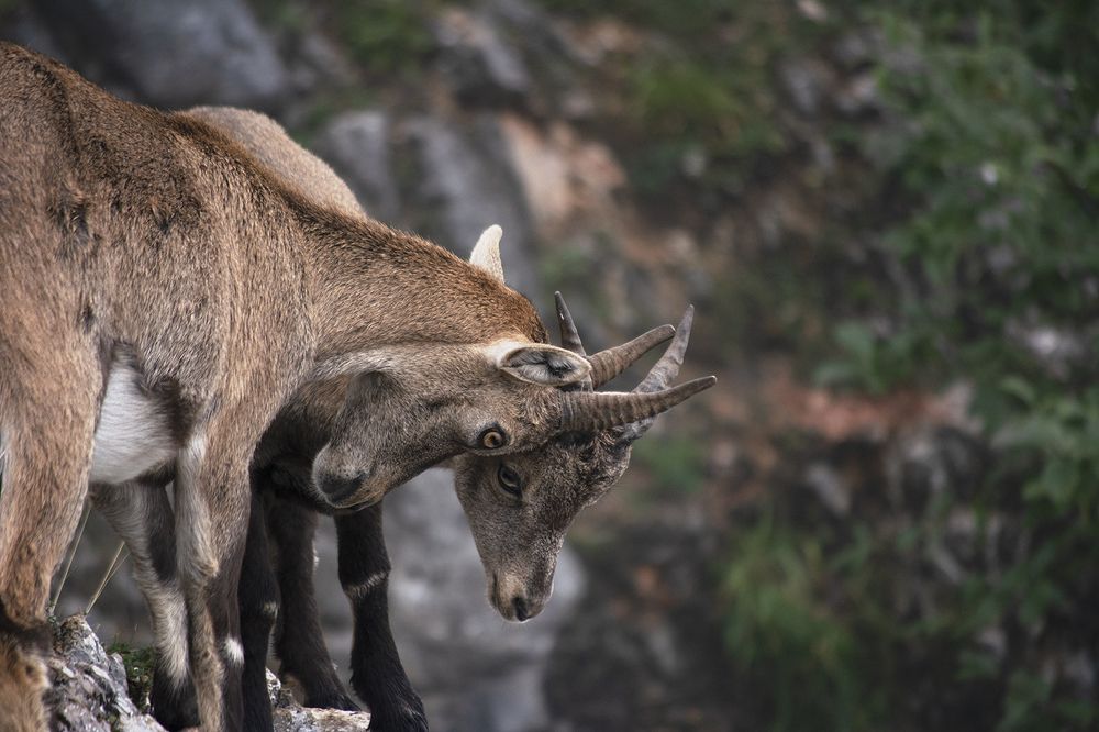 Photograph by Renee Johansson