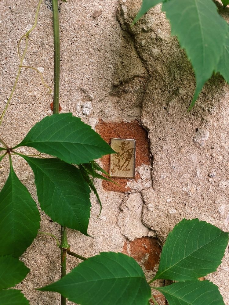 Photograph by Дарья