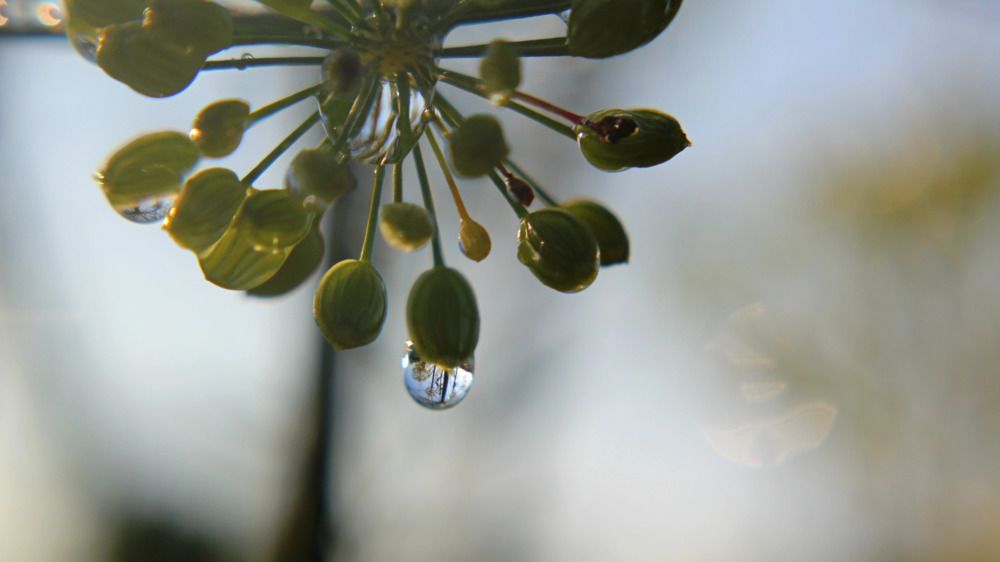 Photograph by Людмила Таерова