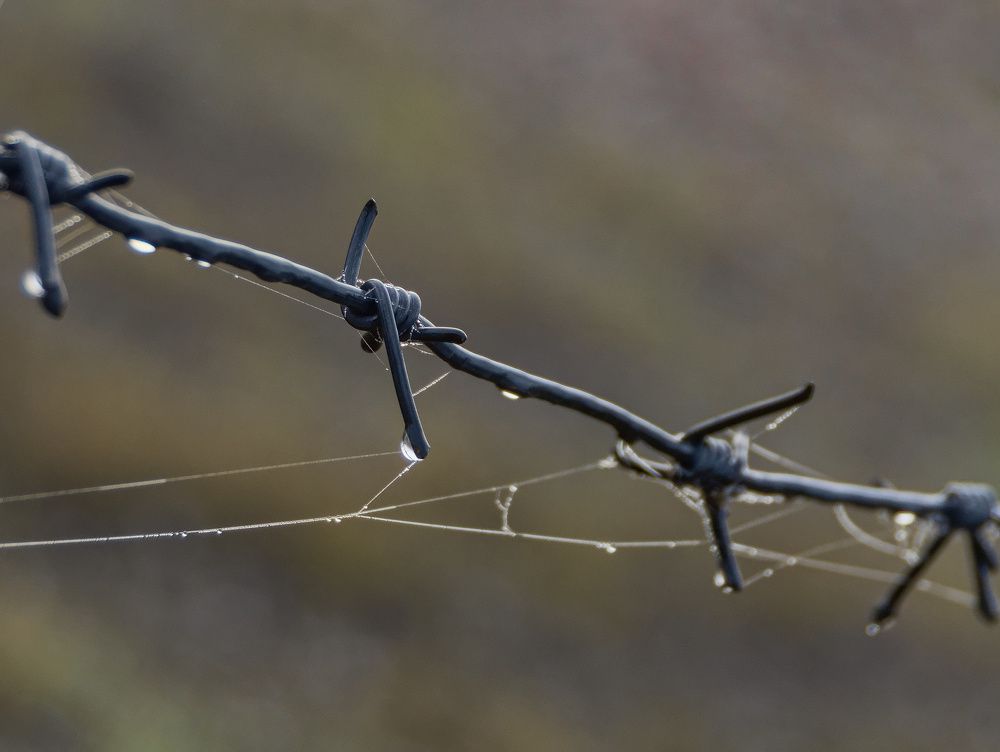 Фотография автора Валерий Лушин