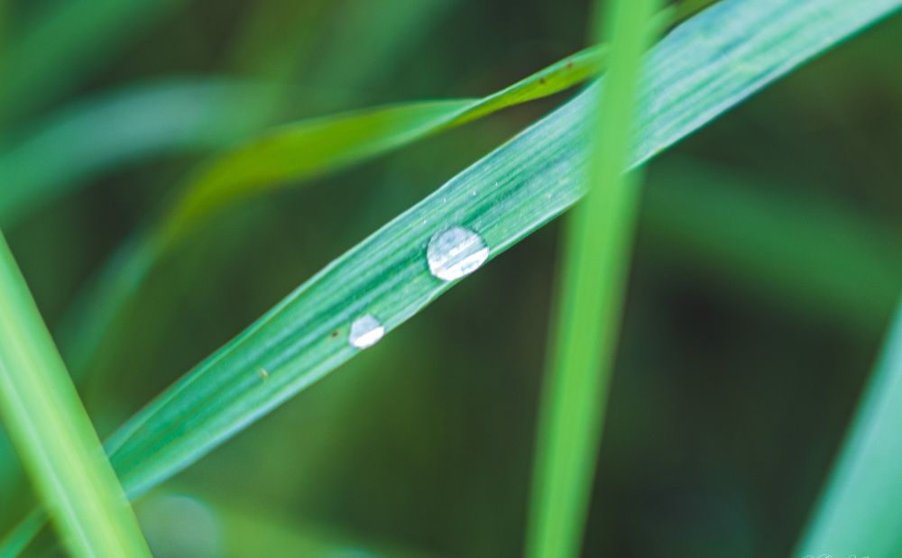 Photograph by Альберт Габбасов