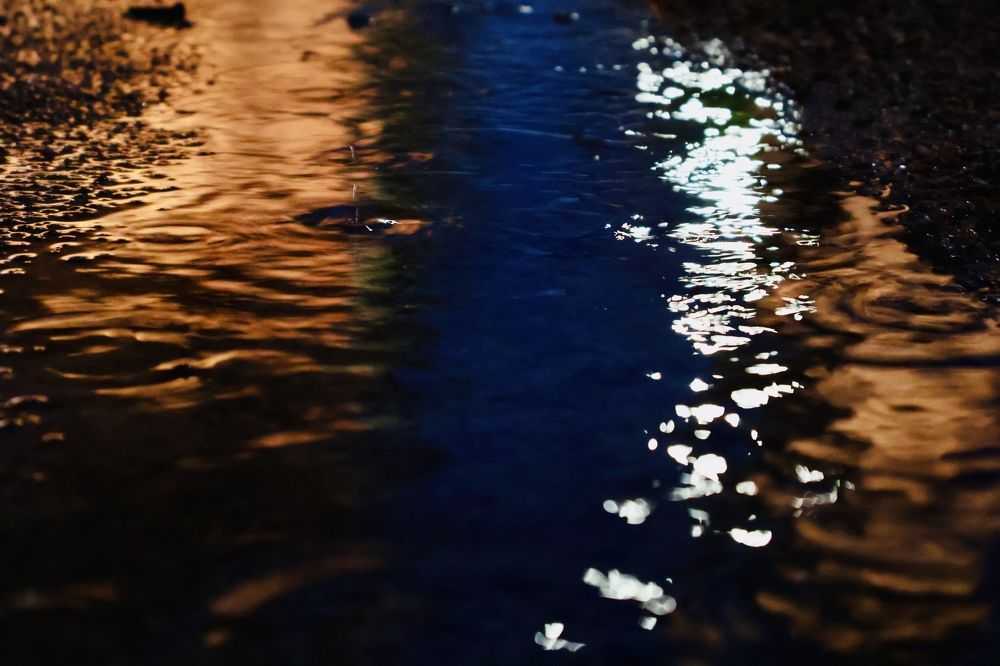 Rain
