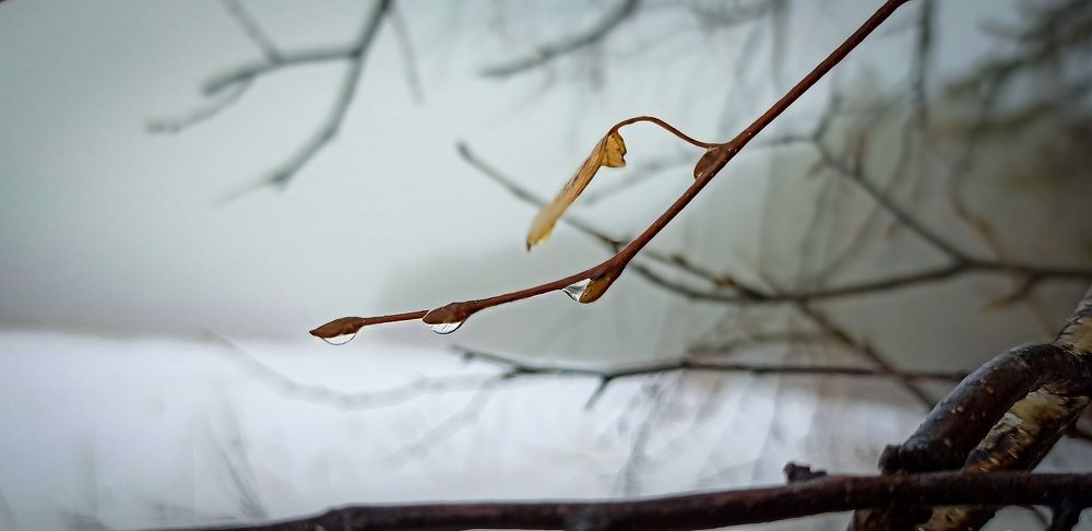 Photograph by Альберт Габбасов