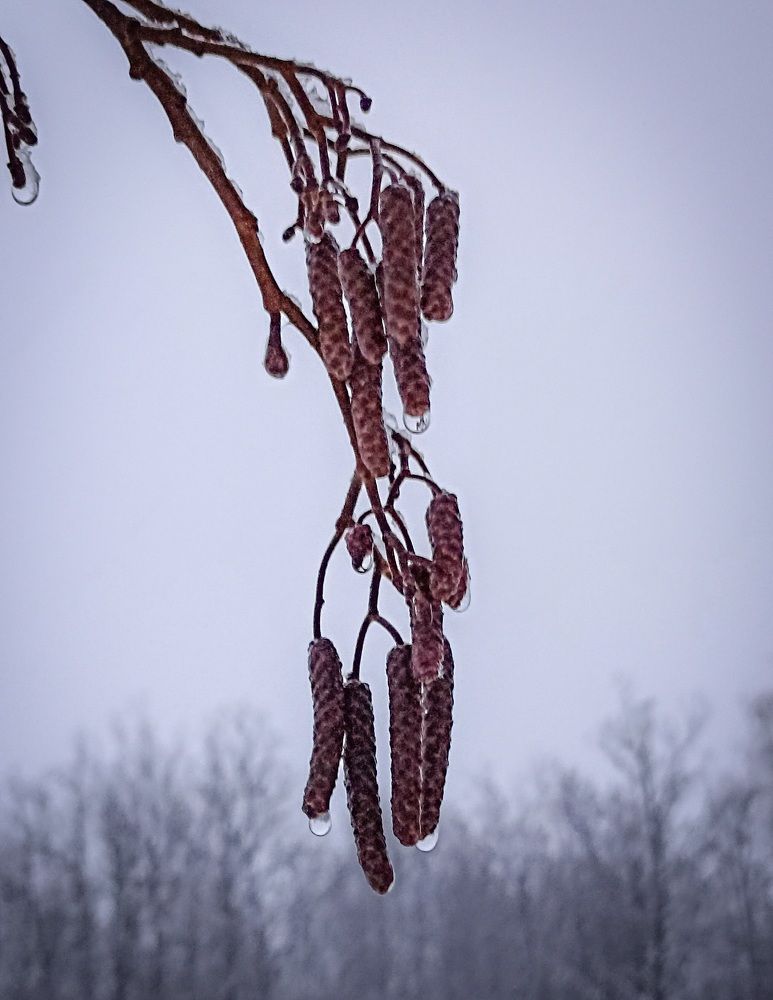 Photograph by Альберт Габбасов
