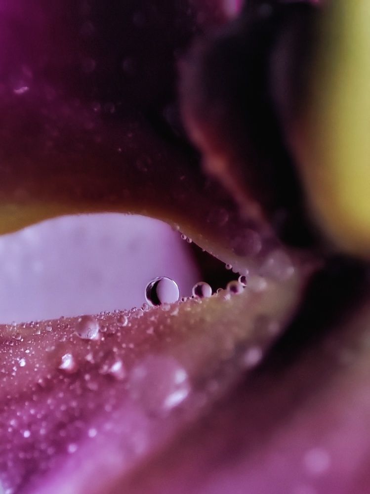 Photograph by Anastasia Malyukova