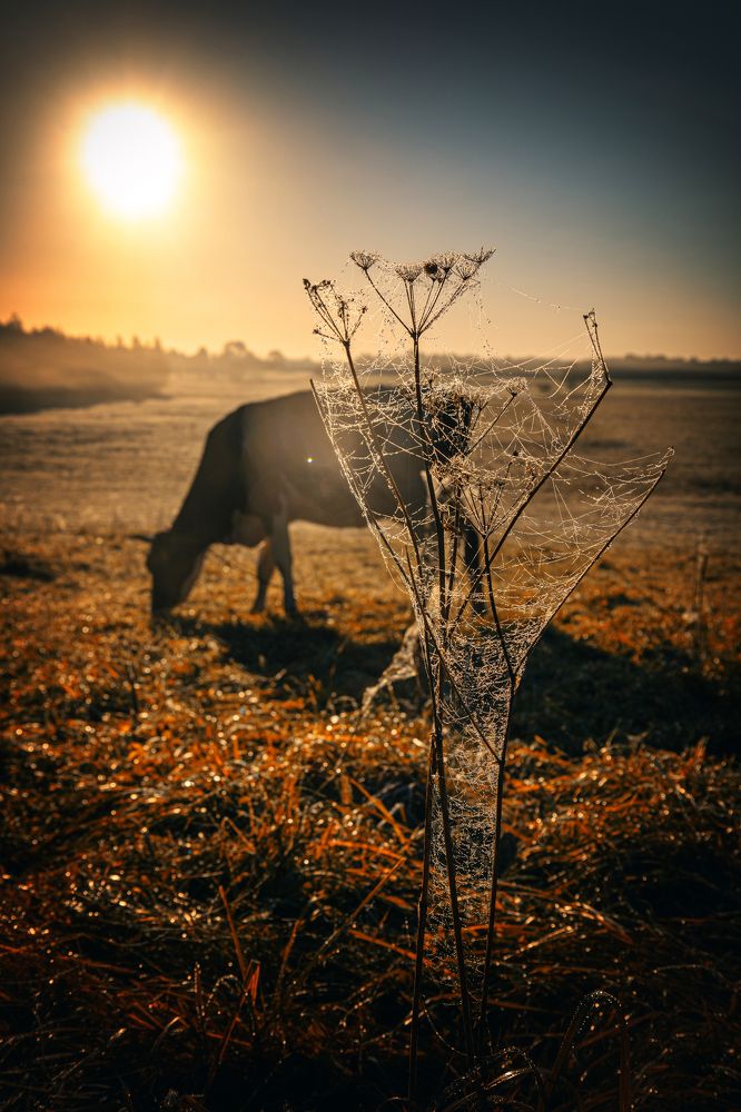 Фотография автора Lija Mežecka