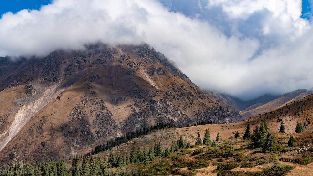 Photograph by Василий Шумкин