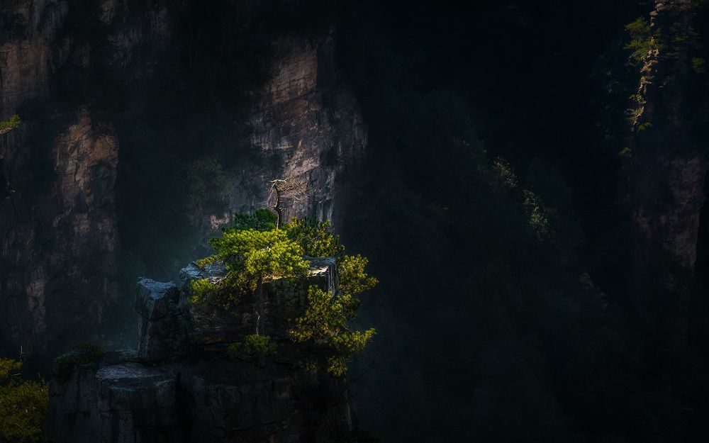 Photograph by Алексей Котлов