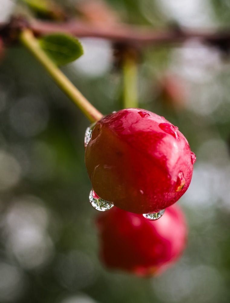 Photograph by Алла Никушкина