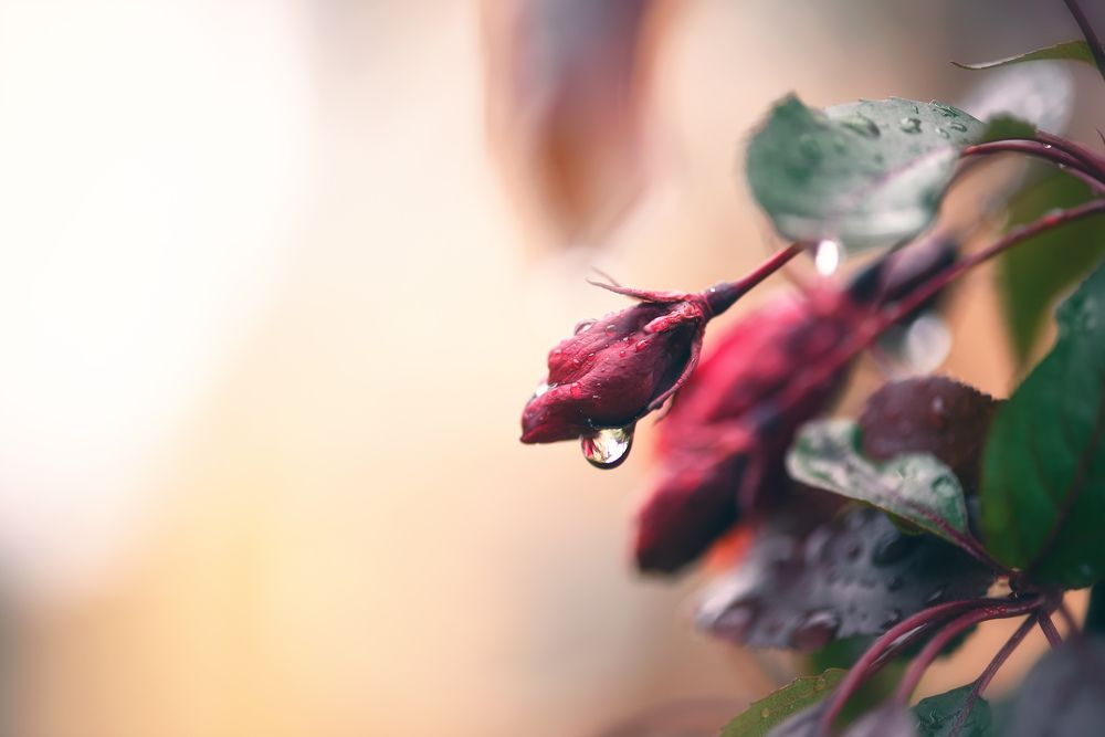 Photograph by Кос Виктория