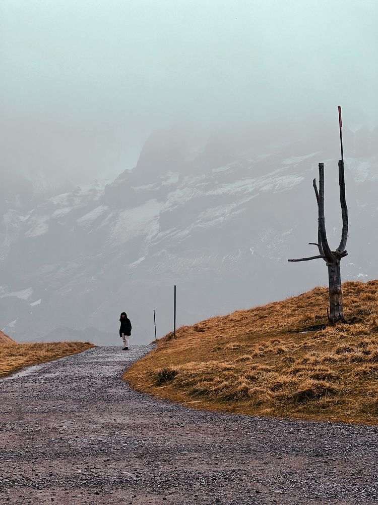 Lonliness to success