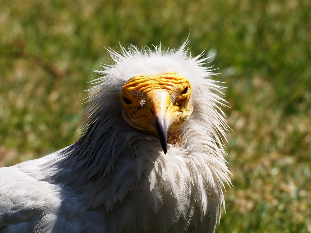 Photograph by Abdolreza Aleagha