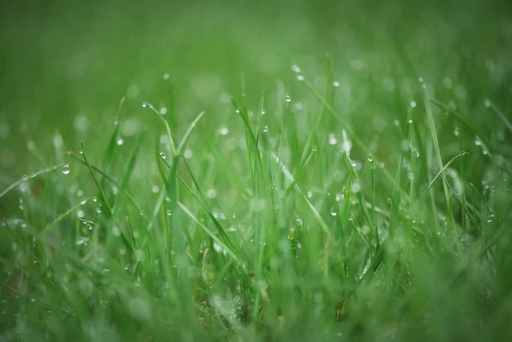 Photograph by Кос Виктория