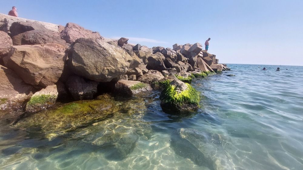 Photograph by TATJANA SKARADEK