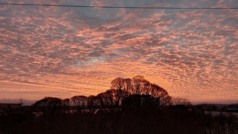 Photograph by TATJANA SKARADEK