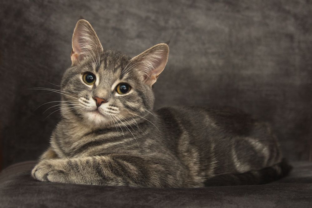 Photograph by Сергей Алексеев