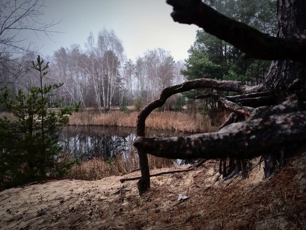 Photograph by Юлия Бурминская