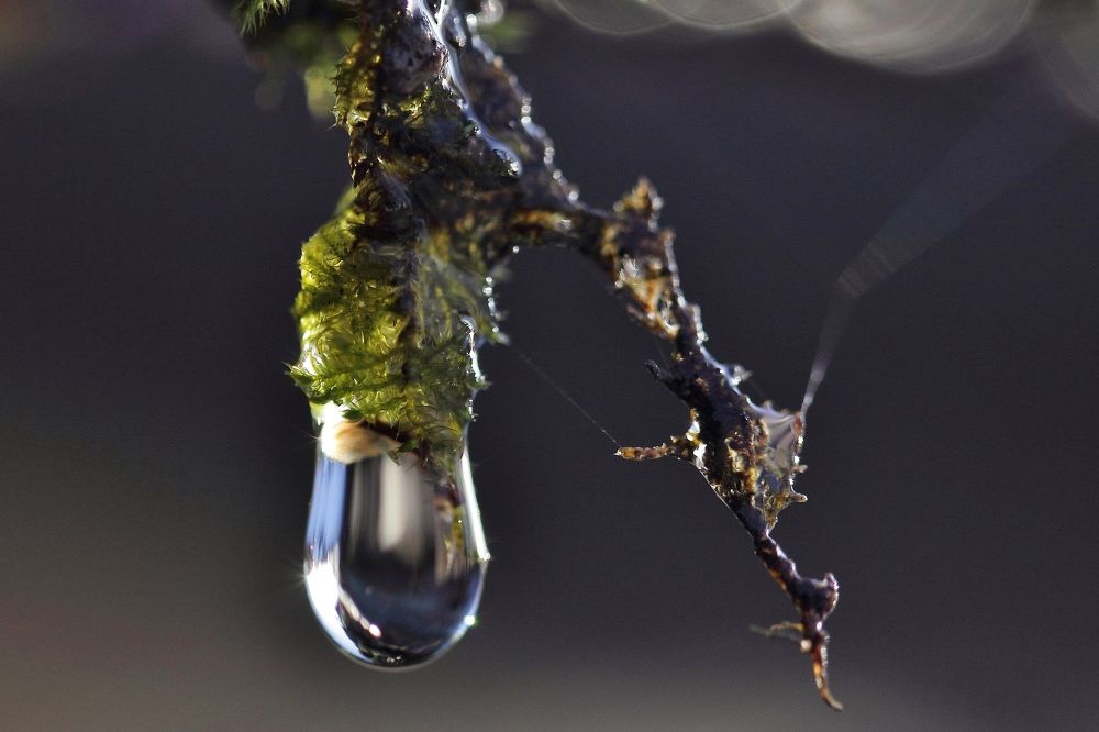 Photograph by Николай Раппу