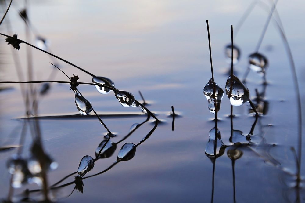 Photograph by Николай Раппу